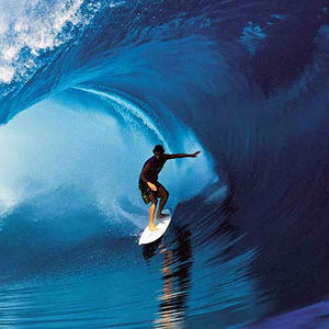 Meet your Posher, Will